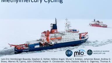 Arctic Ocean Mercury and Methylmercury Cycling